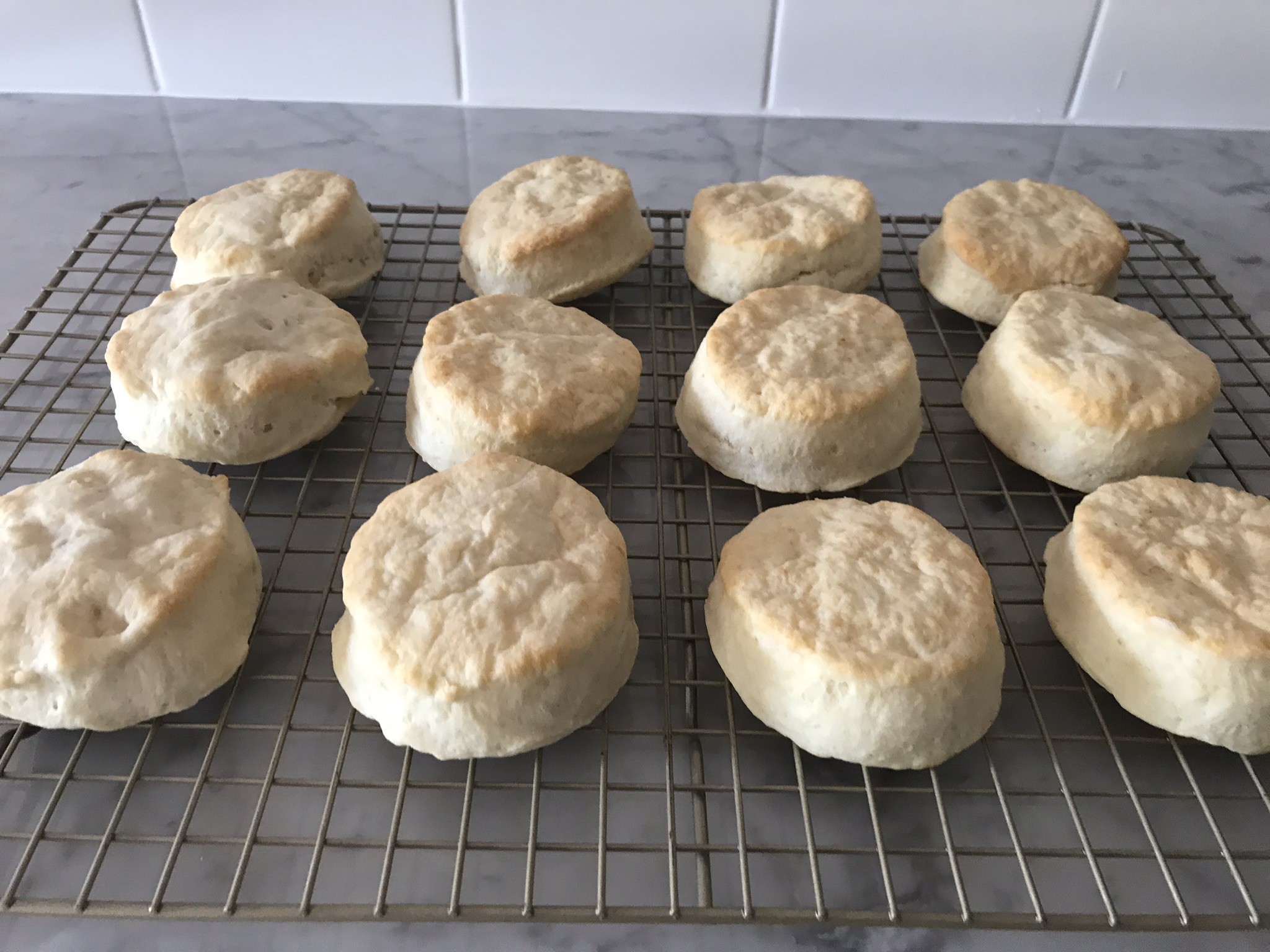 2 Ingredient Biscuits